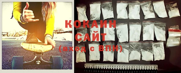 стафф Алексин