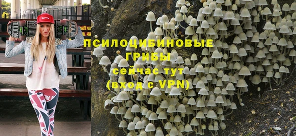 a pvp Алзамай